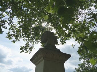 Fohren-Linden