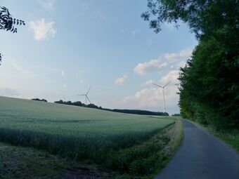 Fohren-Linden